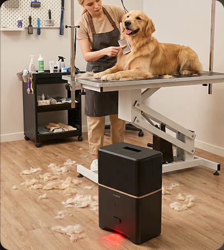 Say Goodbye to Bending and Dust – Redefining Cleanliness at Home and in the Office